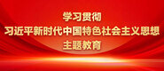 插啊插啊黄色网站学习贯彻习近平新时代中国特色社会主义思想主题教育_fororder_ad-371X160(2)